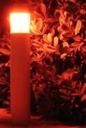 Wildlife-Friendly-lighting