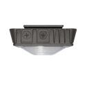 CANO LED Canopy Light
