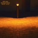 ARCI Turtle Friendly Bollard light with 590nm LEDs and a backlight shield. B.U.G. 0,0,0