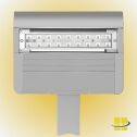 LED Sports Light