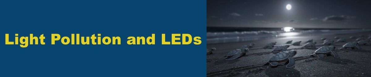 Light-Pollution-and-LEDs-How-to-Reduce-Light-Pollution.jpg Light Pollution and LEDs - How to Reduce Light Pollution