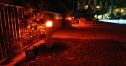 TEFA 17w 590nm Amber LED Bollard w/ Prismatic Glass, EXTREME-LIFE - Image 5