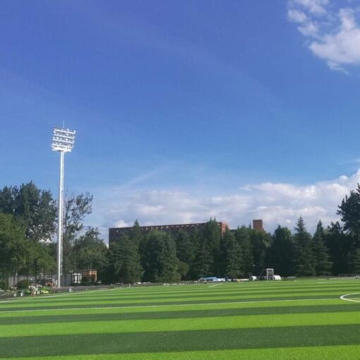 High Mast Light Pole for Soccer Field Lighting High Mast Light Poles for Soccer Field Lighting