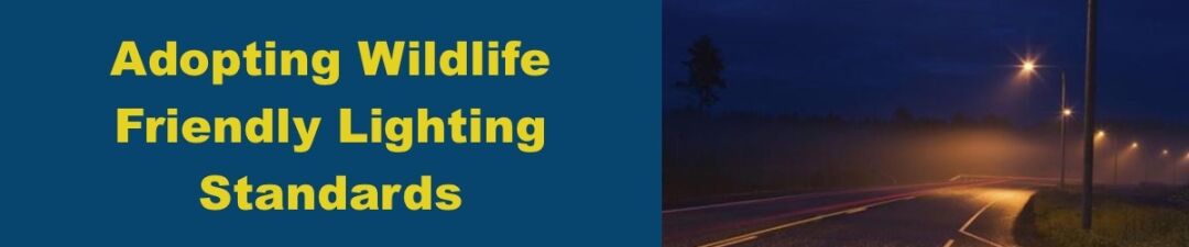 Adopting-Wildlife-Friendly-Lighting-Standards-to-Combat-Lighting-Pollution-Lessons-from-Australia-Arizona-and-Hawaii.jpg Adopting Wildlife-Friendly Lighting Standards to Combat Lighting Pollution: Lessons from Australia, Arizona, and Hawaii