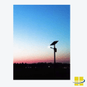 SOLI 50 LED Solar Powered Area Light - Image 5