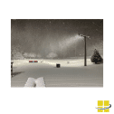 STAD 563 LED Sports Light - Image 9